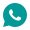 Zalo Icon