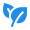 Natural Food Icon