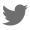 Sociala medier icon