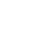 brain