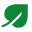Leaf 8