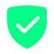 Protection Icon