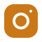 Instagram Icon