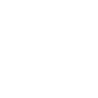 phone-icon