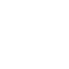 speed--v1