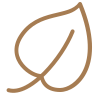 leaf--v1