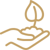 Design Icon