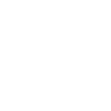 Drone Icon