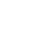 Partner Icon
