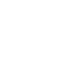 Altbausanierung Icon