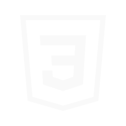 css3