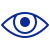 Vision