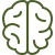 Brain icon