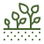 growing-plant