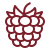 Fruits Rouges