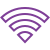 Netzwerk-Inspektor Icon