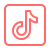 TikTok icon