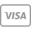 Visa Icon