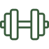 dumbbell--v1