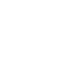 Print Icon