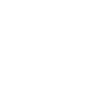 ACE Program icon