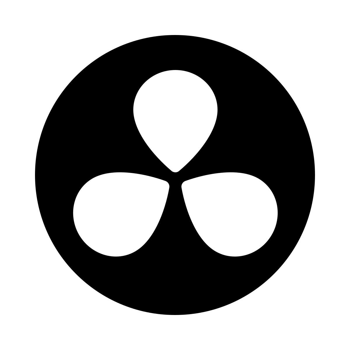 ios 17 glyph style davinci resolver icon