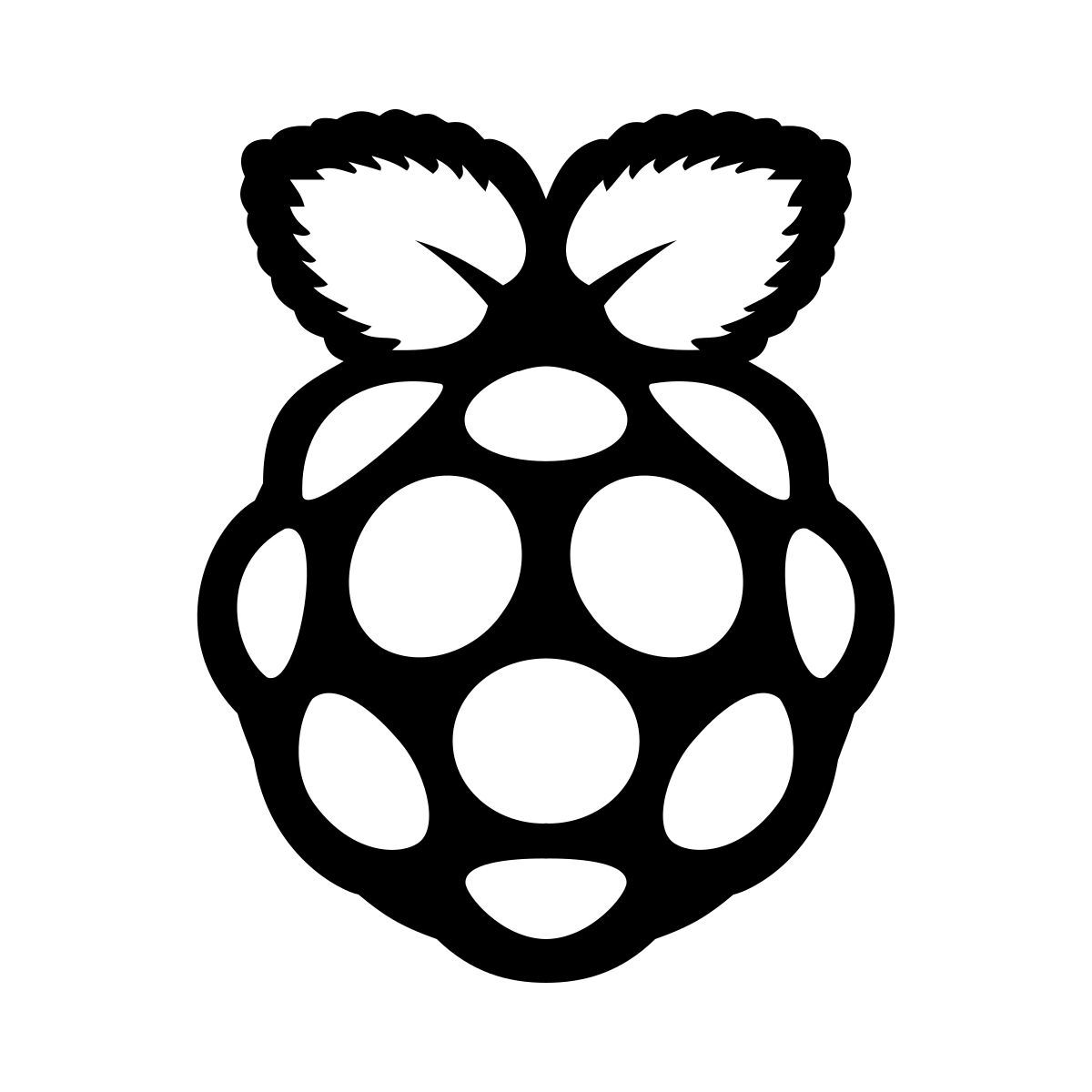ios 17 glyph style raspberry pi icon