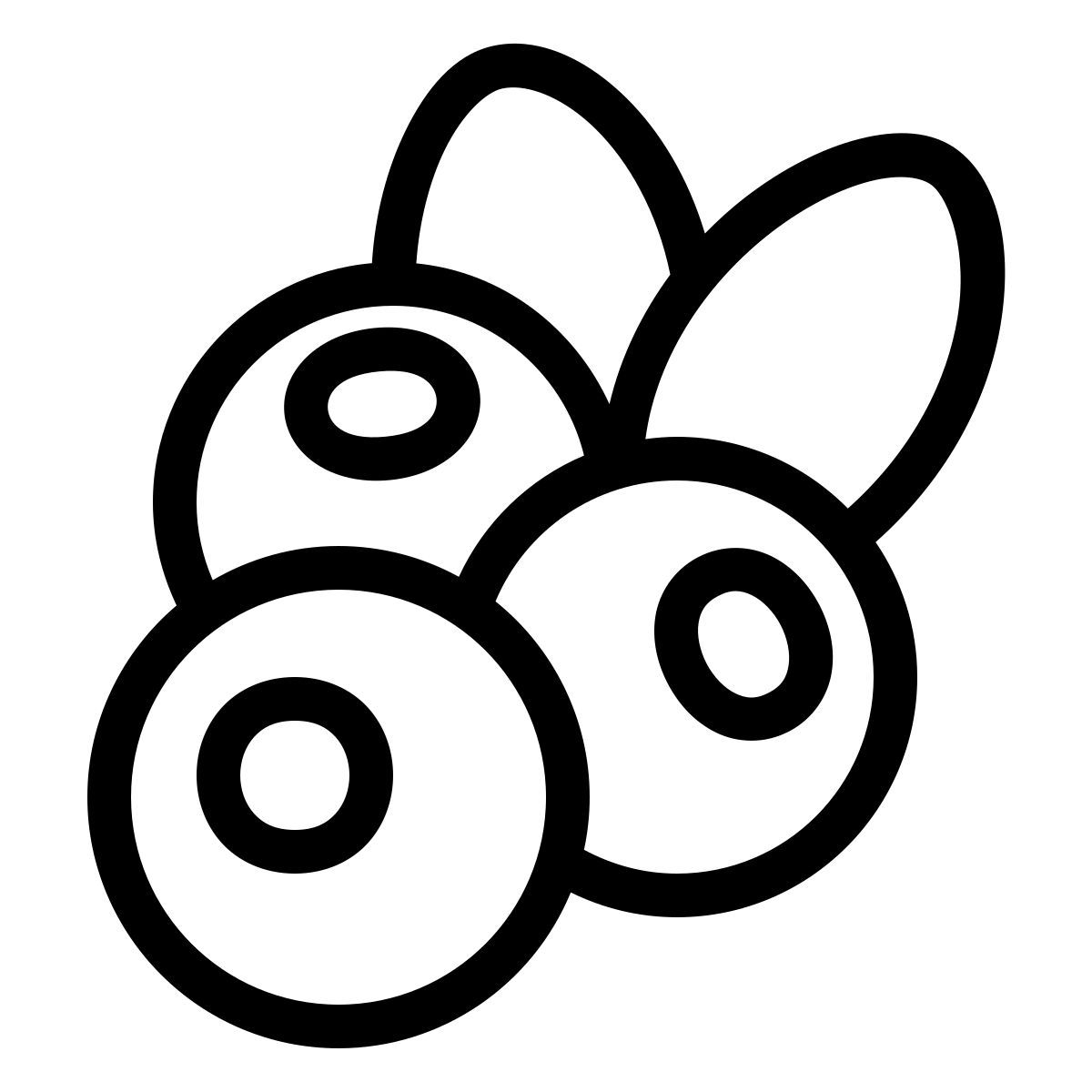 ios 17 outlined style 블루베리 icon