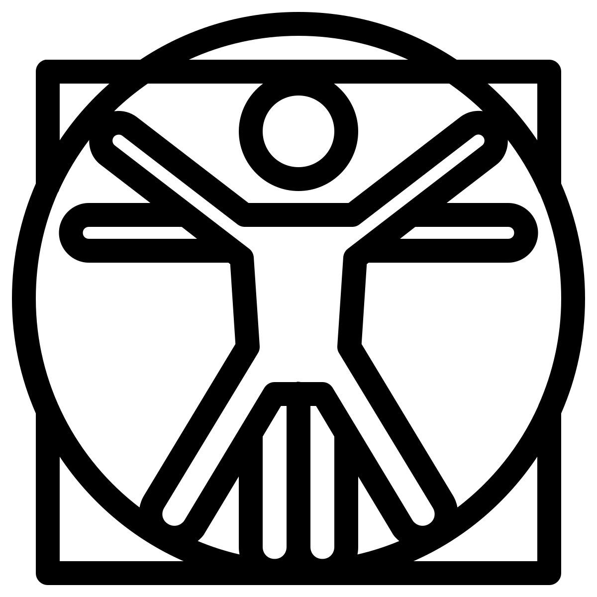 ios 17 outlined style 达芬奇 icon