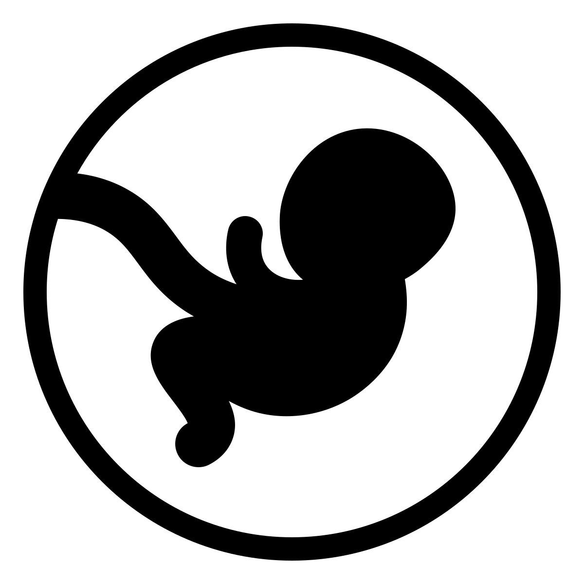 ios 17 outlined style embrión icon