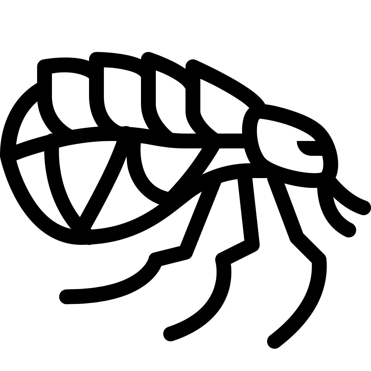 ios 17 outlined style flea icon