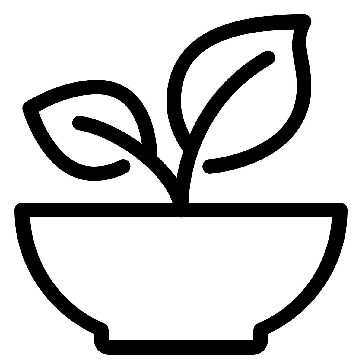 ios 17 outlined style orgánico icon