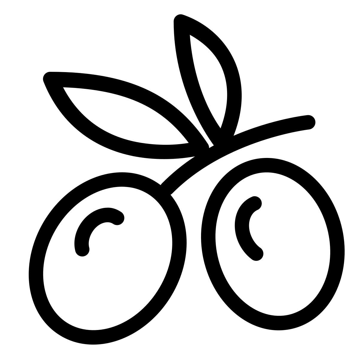 ios 17 outlined style aceituna icon