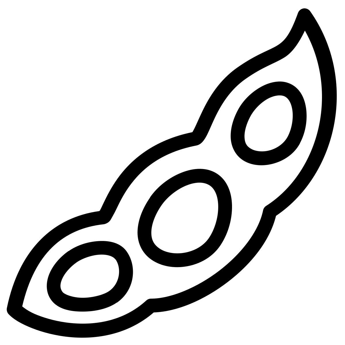 ios 17 outlined style 간장 icon