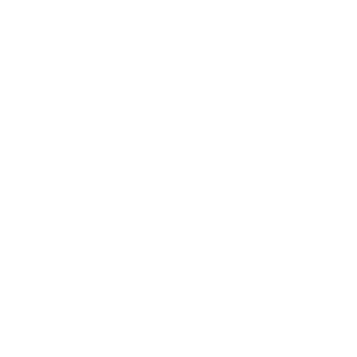 Netapp Logo Png