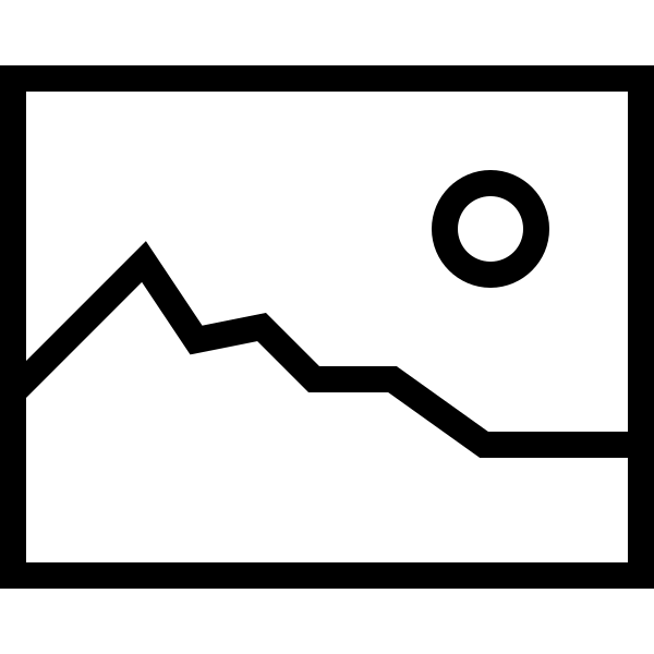 Visuels Icon