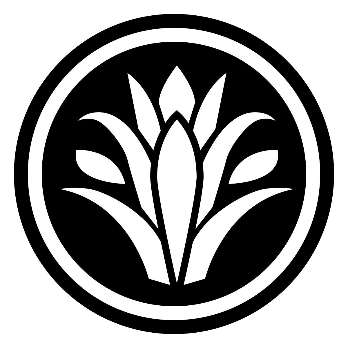 ios 17 filled style 面部检查 icon