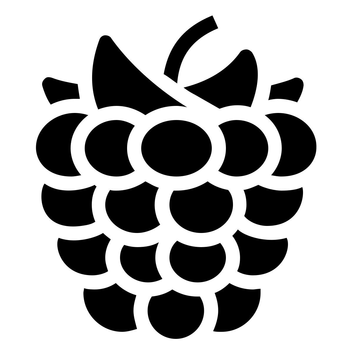 ios 17 filled style 산딸기 icon