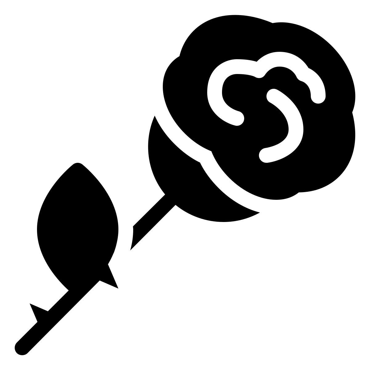 ios 17 filled style rosa icon
