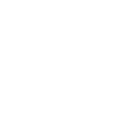 Netapp Logo Png