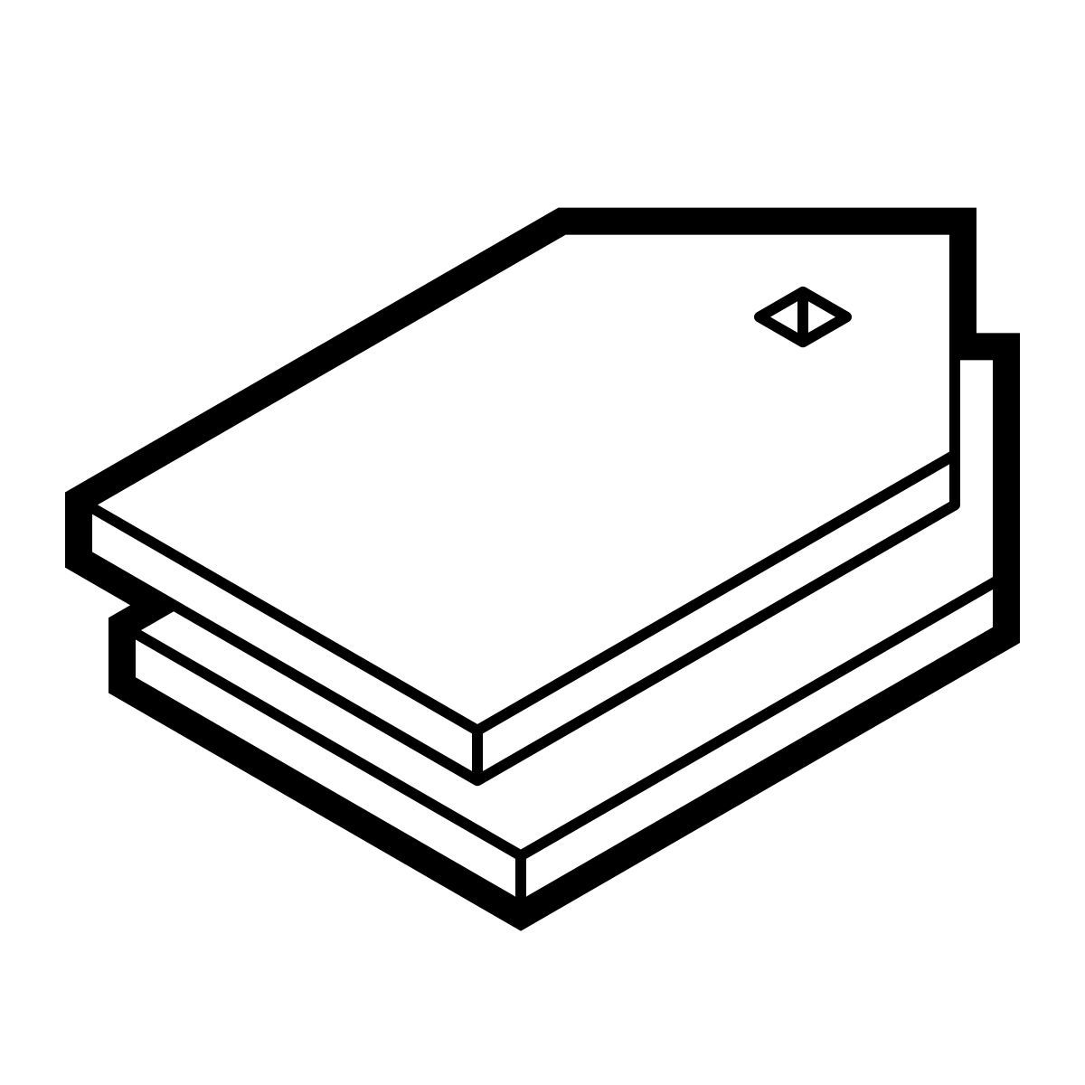 isometric line style tags icon