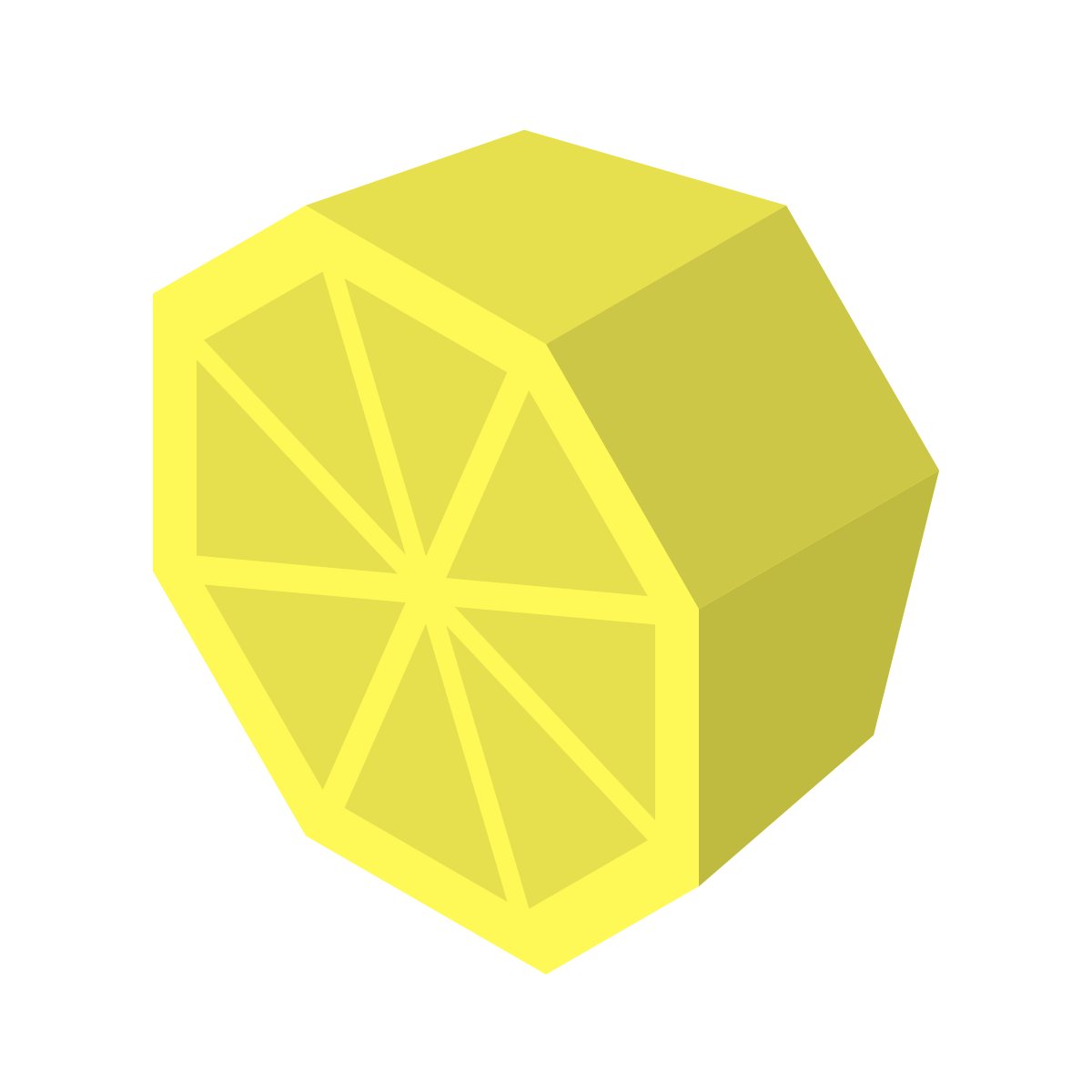 isometric color style citrus icon