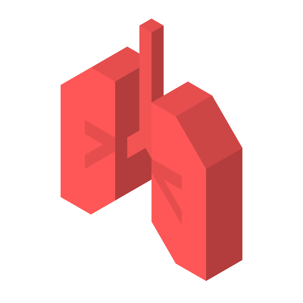 isometric color style lungs icon