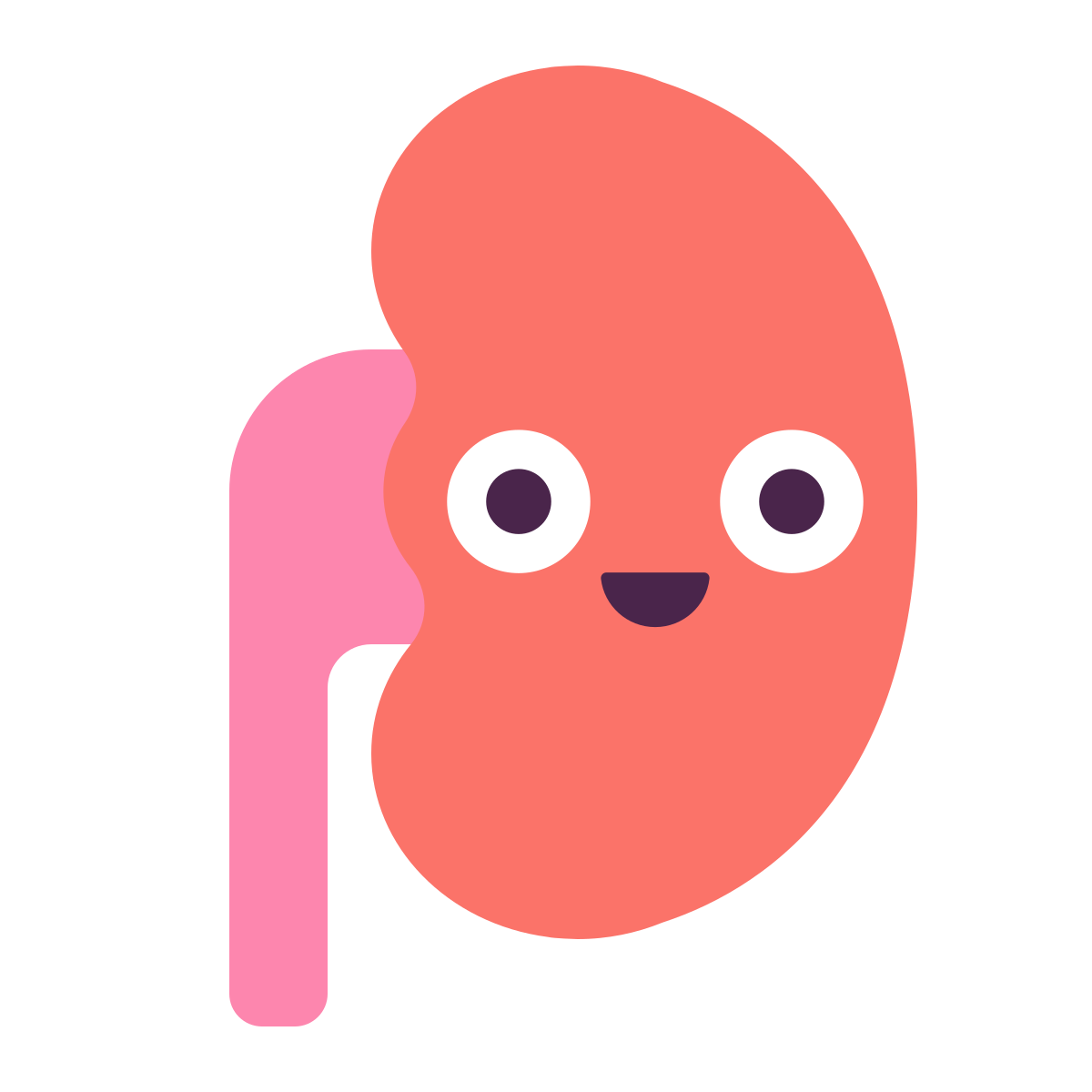 keek style kidney icon
