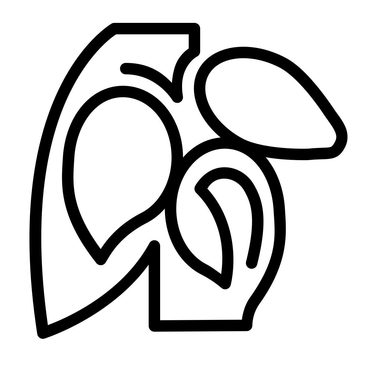 laces style cacaotier icon