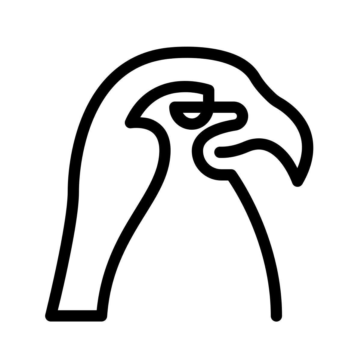 laces style falke icon