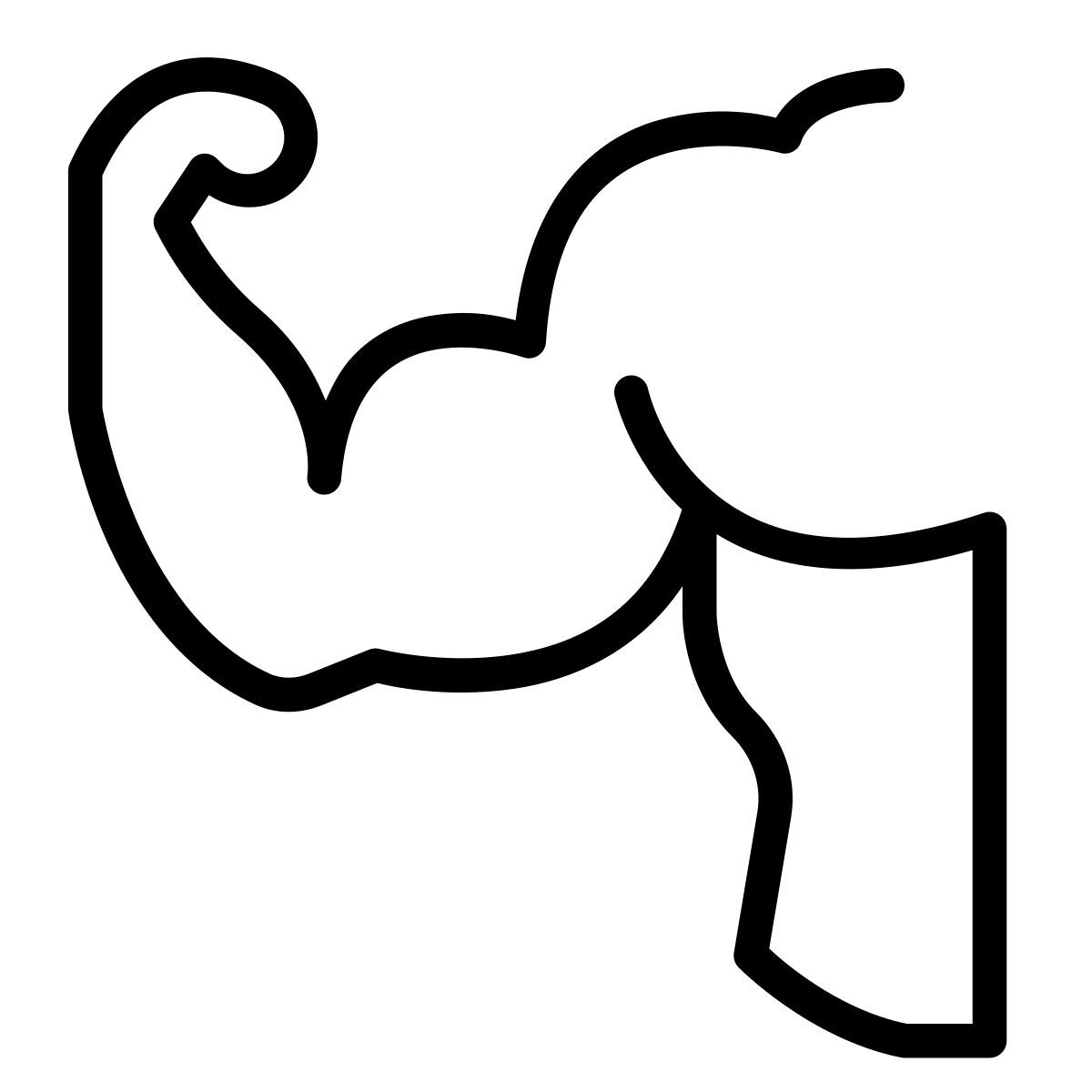 laces style ajuster icon