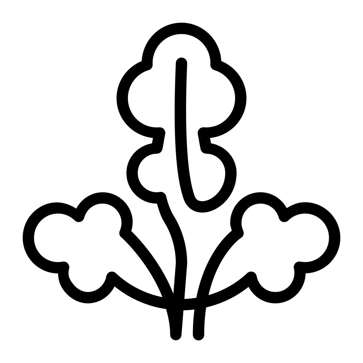 laces style petersilie icon