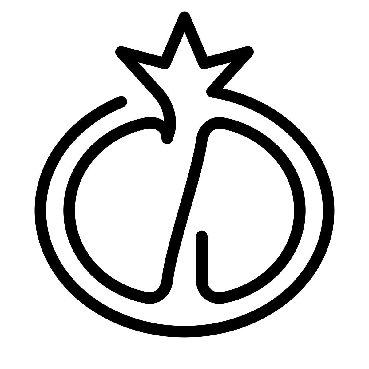 laces style granada icon