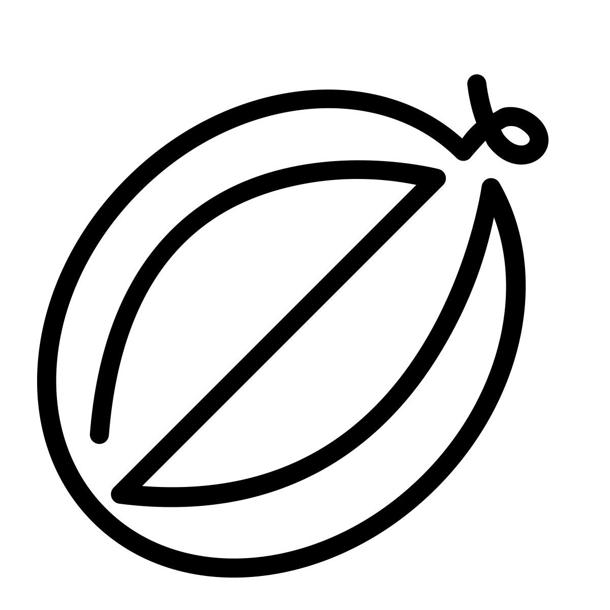 laces style whole watermelon icon